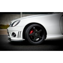 LAME DU PARE-CHOCS AVANT MERCEDES SLK R170 POUR LE PARE-CHOCS AMG 204