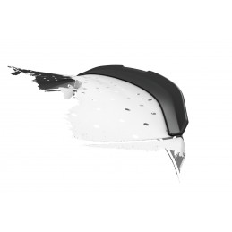 Aileron arrière avec ABE pour Aston Martin Vantage V8 / V12