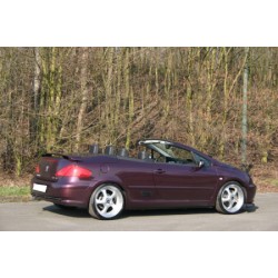 Aileron Peugeot 307 CC phase I et II 2001-2009
