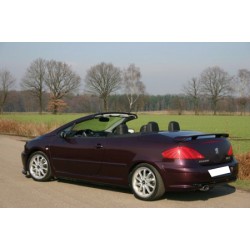 Aileron Peugeot 307 CC phase I et II 2001-2009