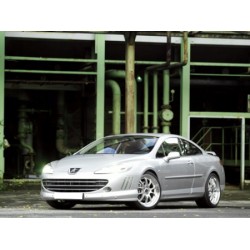 Coins de pare choc avant Peugeot 407 coupé